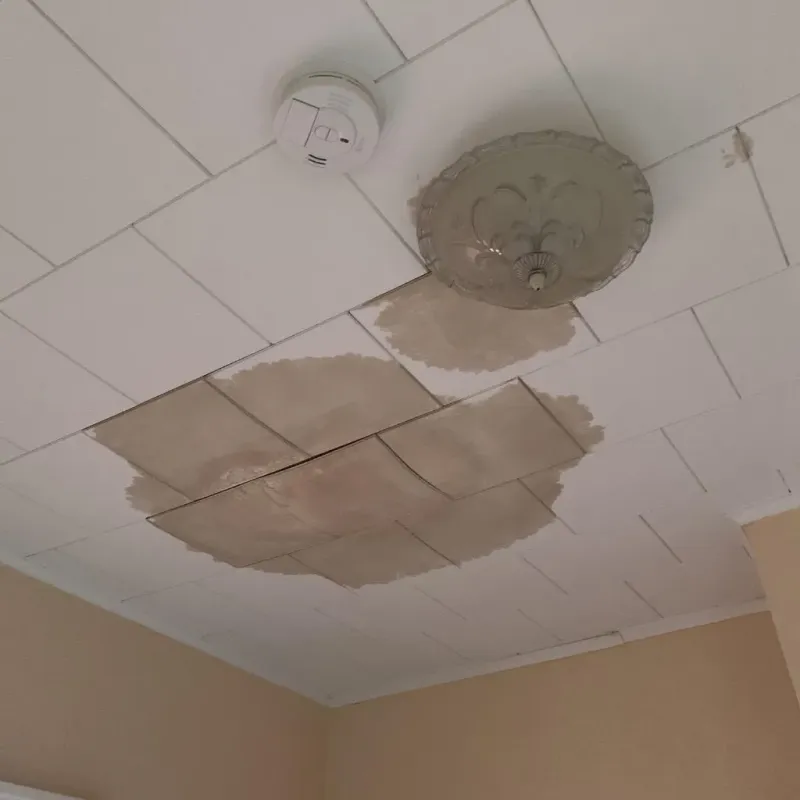 Ceiling Water Damage Repair in Suisun, CA